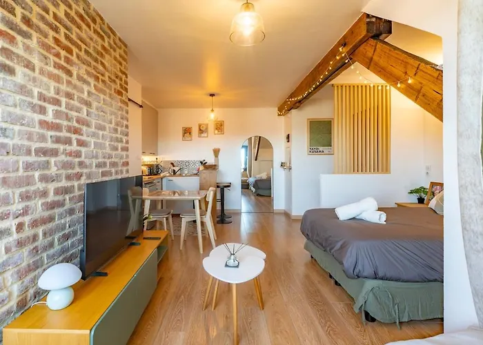 Cocon Cosy & Design Avec Briques Et Poutres Apartment